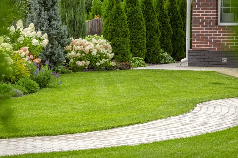 Walkway with Curved Design