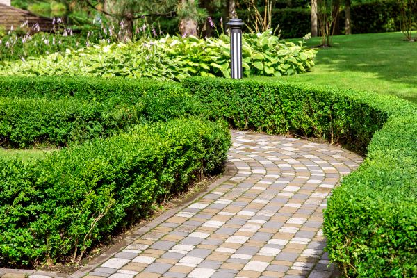 Paved Landscaping in Corona