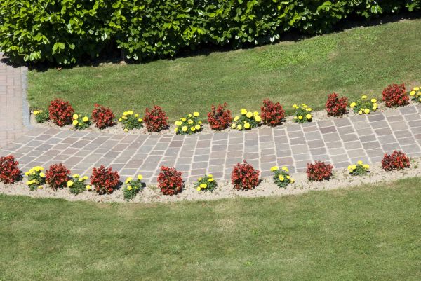 Garden Paving in Corona