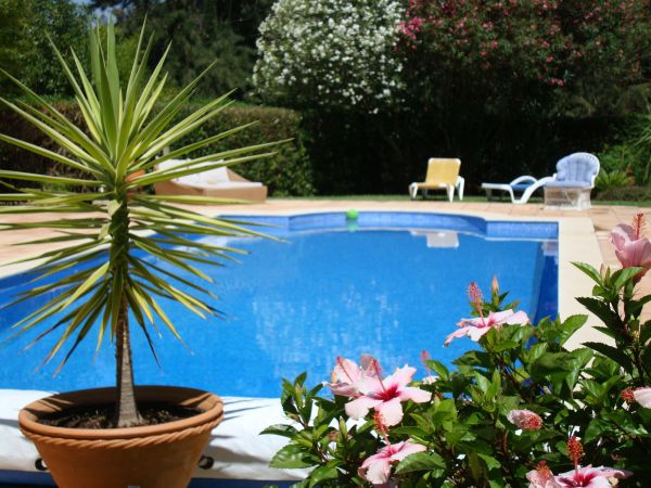 Pool Terrace Renovation in Corona